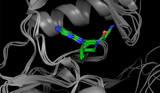 Selective Allosteric TYK2 Inhibitors